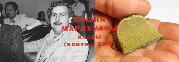 амф Бородино