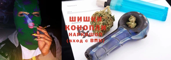 амф Бородино