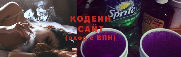 амф Бородино