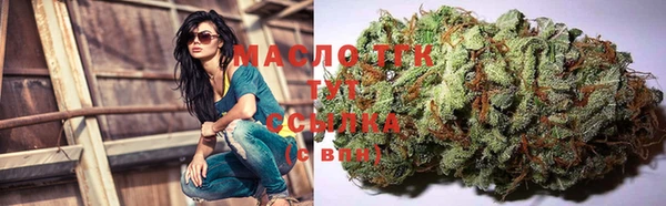 амф Бородино