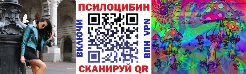 наркотики  Нижний Тагил  блэк спрут зеркало  Псилоцибиновые грибы Psilocybe 